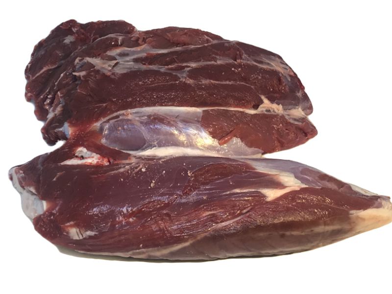 CONILL de la REINA de VEDELLA