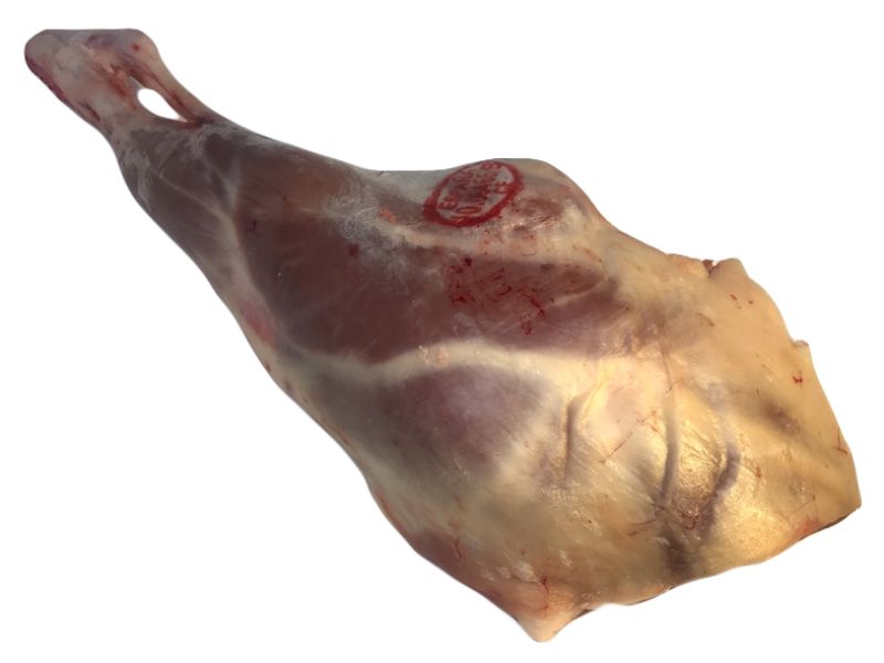 CUIXA de XAI (Sencera)