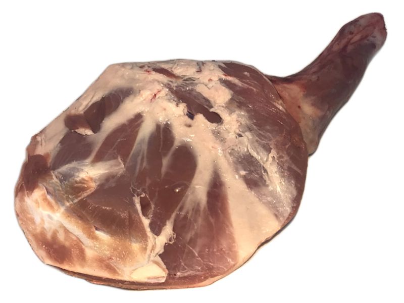 ESPATLLA de XAI (Sencera)