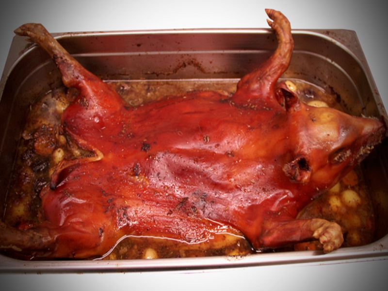 GARRI cuinat al FORN sencer