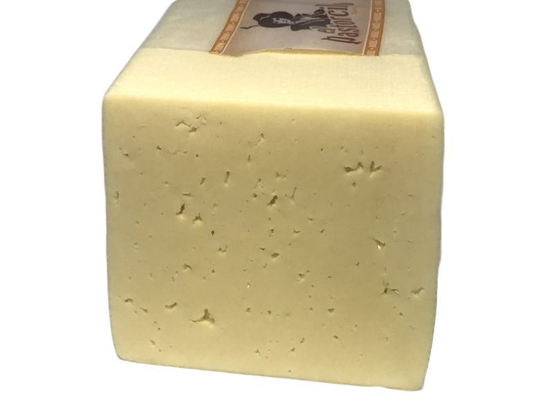 PASTORCILLO TENDRA barra