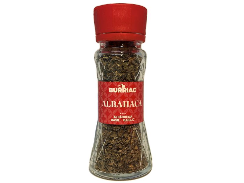 Espècie ALFÀBREGA - Burriac