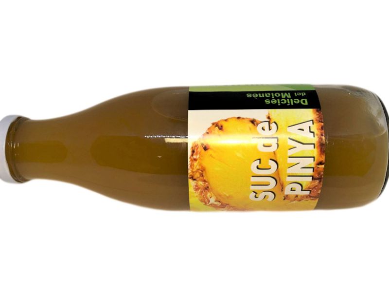 SUC PINYA - El Moianes